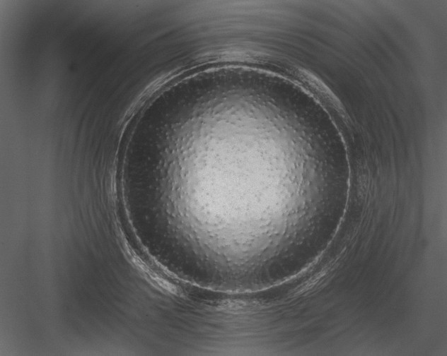 X0000084000938200702232134