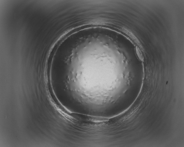 X0000084000939200702232134