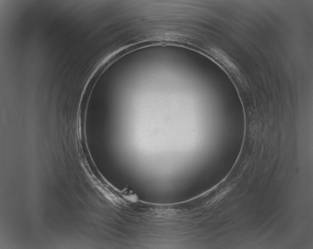 X0000084000940200702232134