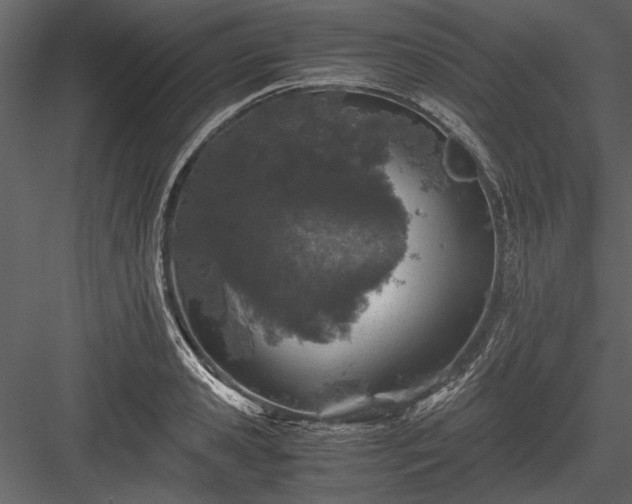 X0000084000941200702232134