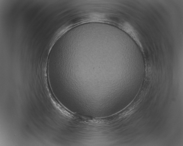 X0000084000954200702232134