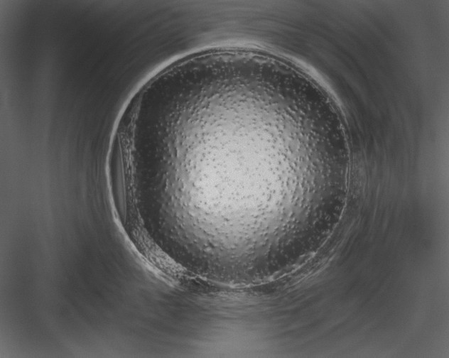 X0000084000959200702232134