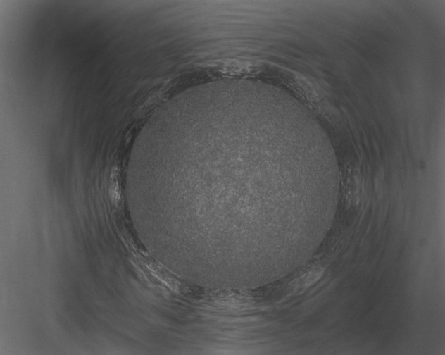 X0000084000962200702232133