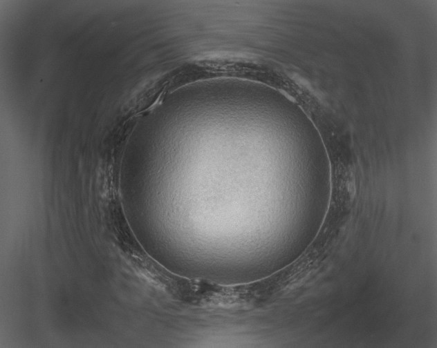 X0000084000965200702232133