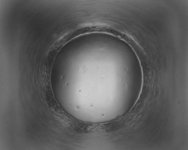 X0000084000967200702232133