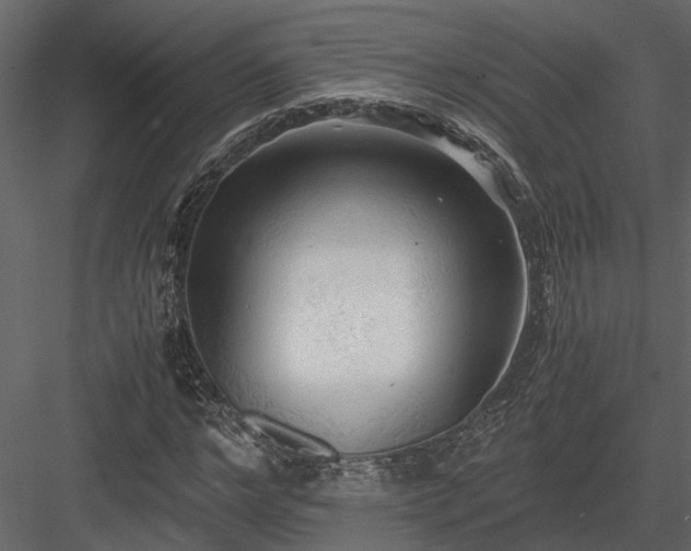 X0000084000968200702232133