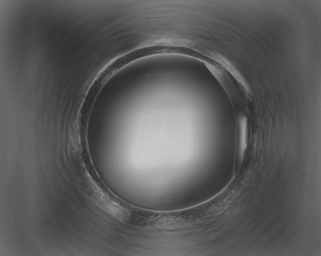X0000084000972200702232133