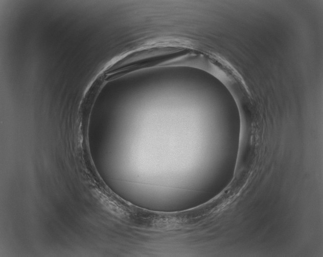 X0000084000973200702232133