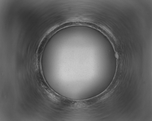 X0000084000974200702232133