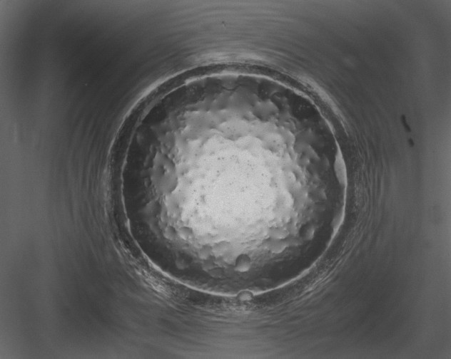 X0000084000975200702232133