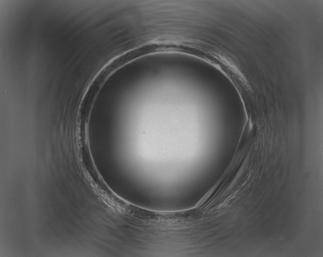 X0000084000976200702232133