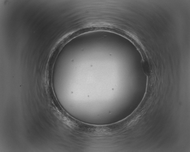 X0000084000979200702232133