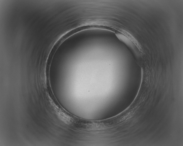 X0000084000980200702232133