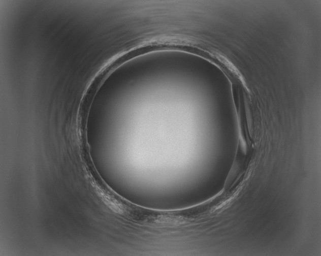 X0000084000981200702232133