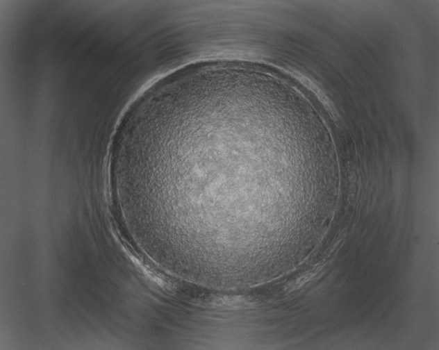 X0000084000982200702232133