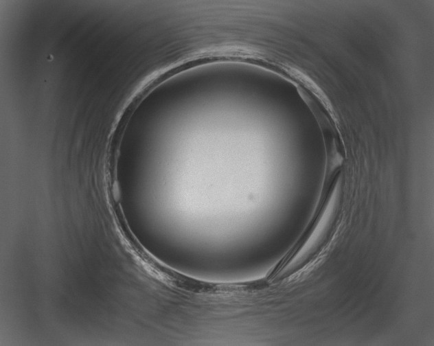 X0000084000989200702232133