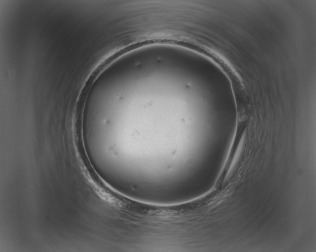 X0000084000991200702232133