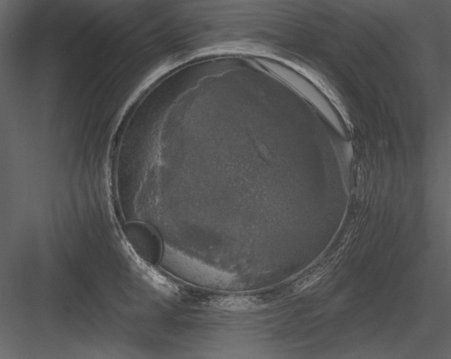 X0000084000998200702232133
