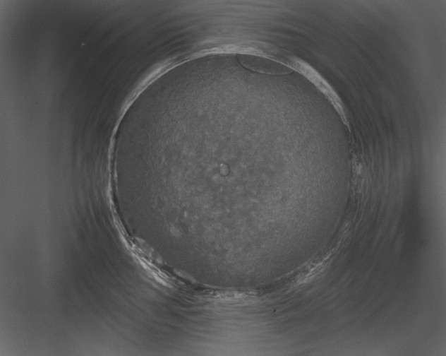 X0000084001002200702232133
