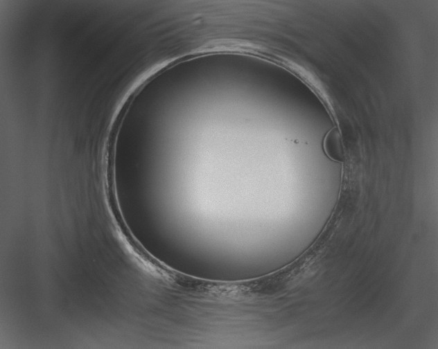 X0000084001003200702232133