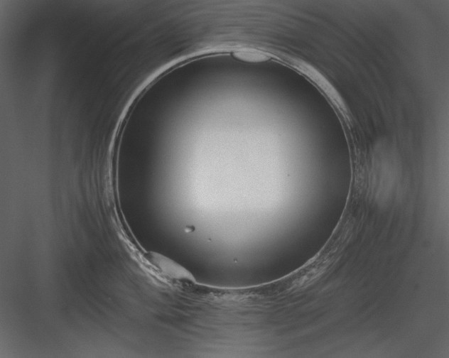 X0000084001004200702232133