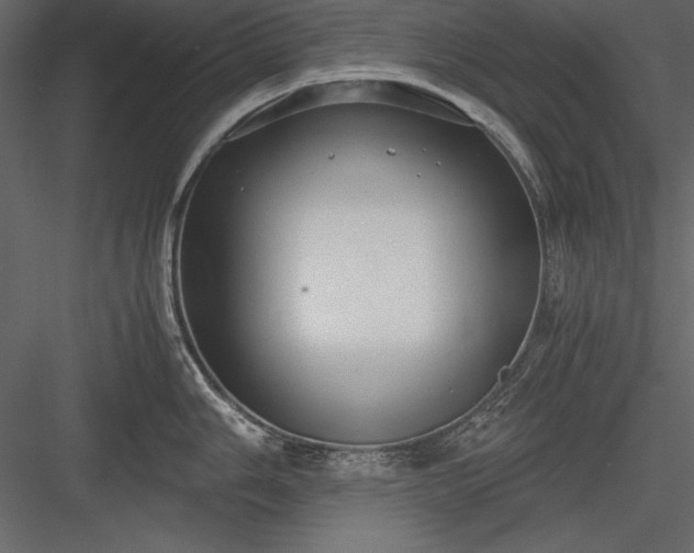 X0000084001006200702232133