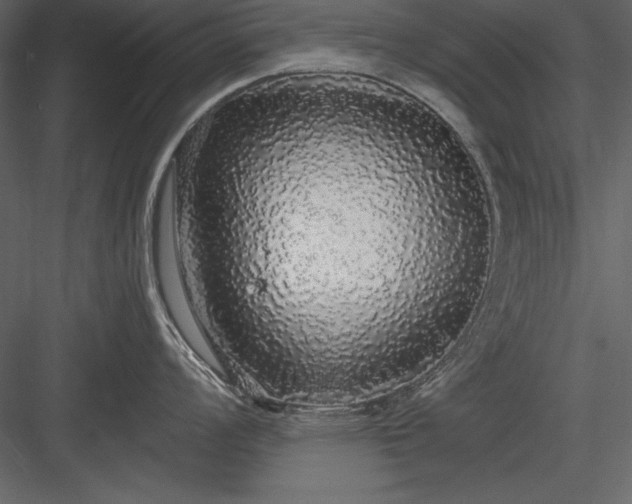 X0000084001008200702232132