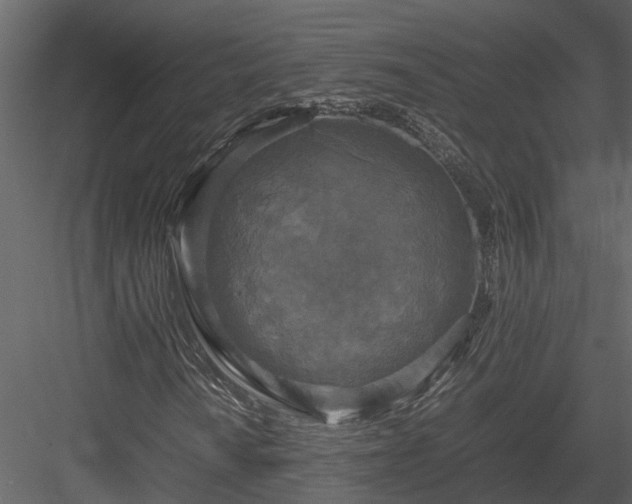 X0000084001010200702232132