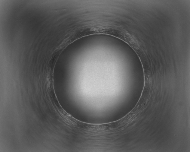 X0000084001012200702232132