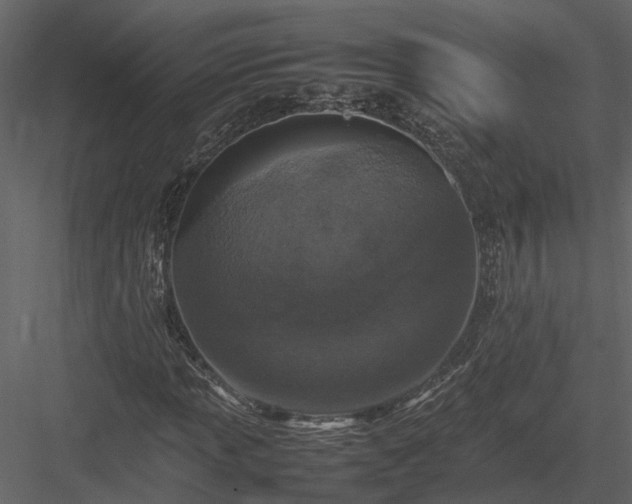 X0000084001013200702232132