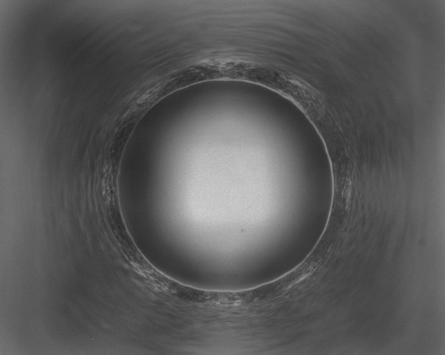X0000084001014200702232132