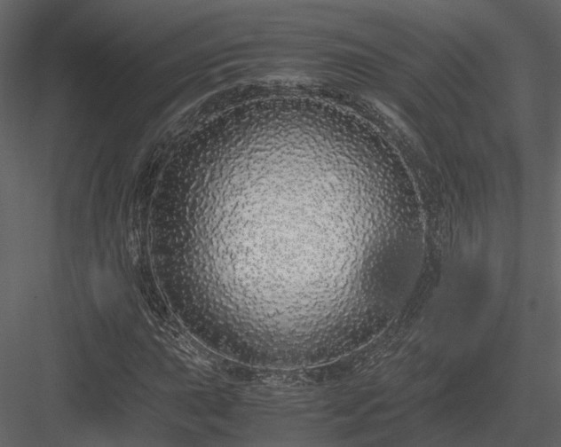 X0000084001015200702232132