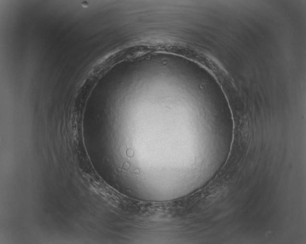 X0000084001016200702232132