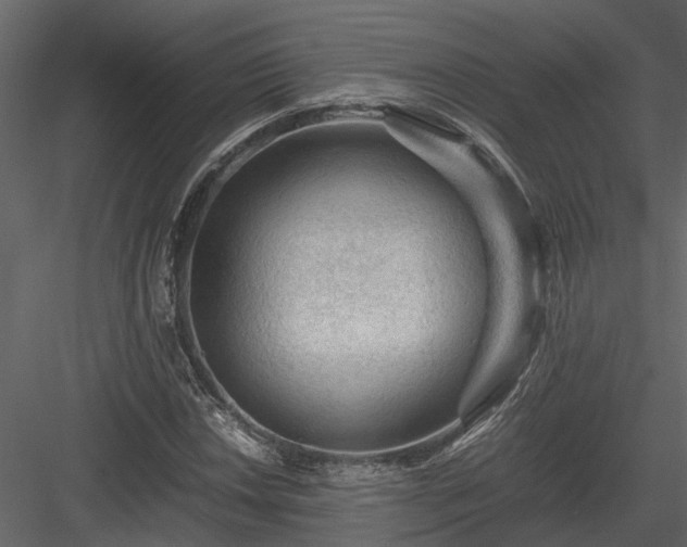 X0000084001018200702232132
