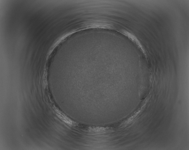 X0000084001019200702232132