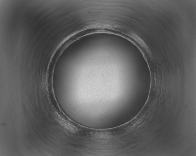 X0000084001020200702232132