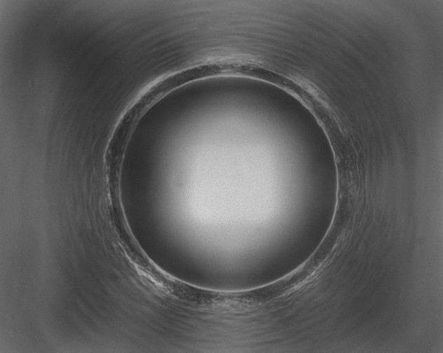 X0000084001022200702232132