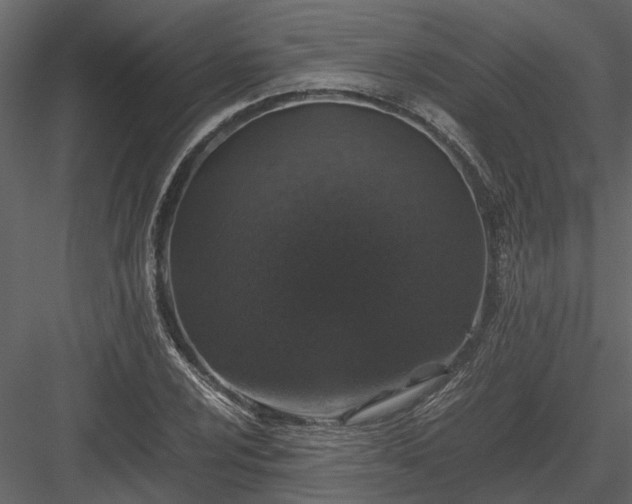 X0000084001024200702232132