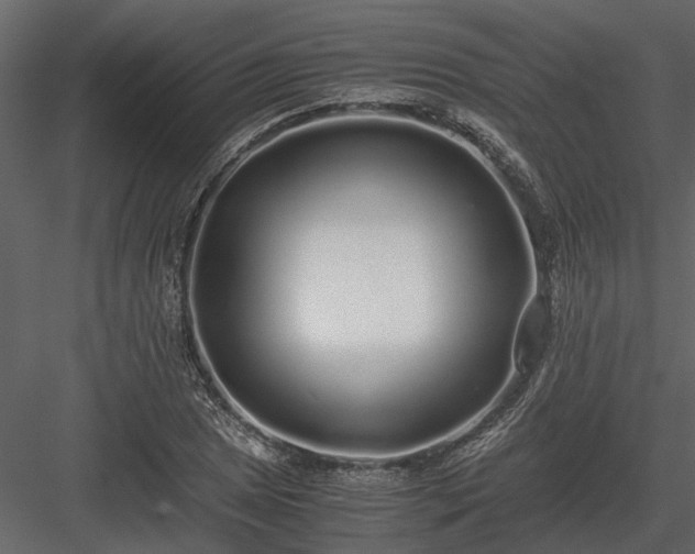 X0000084001025200702232132