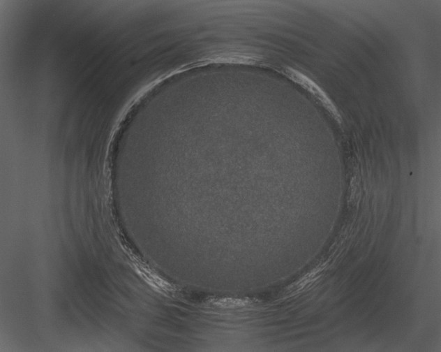 X0000084001027200702232132