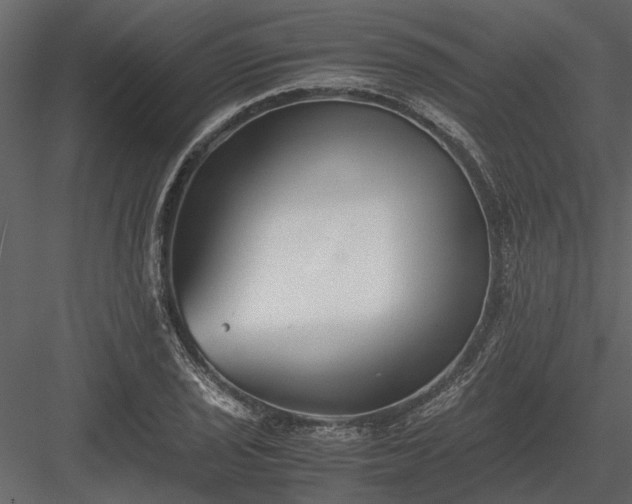 X0000084001029200702232132
