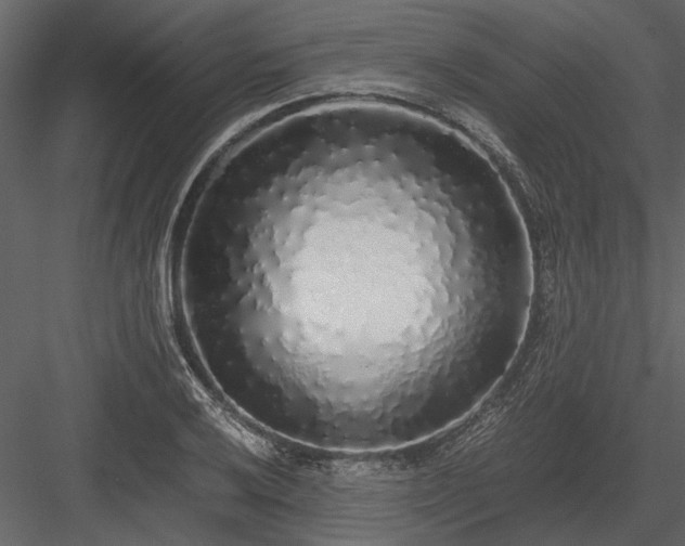 X0000084001032200702232132