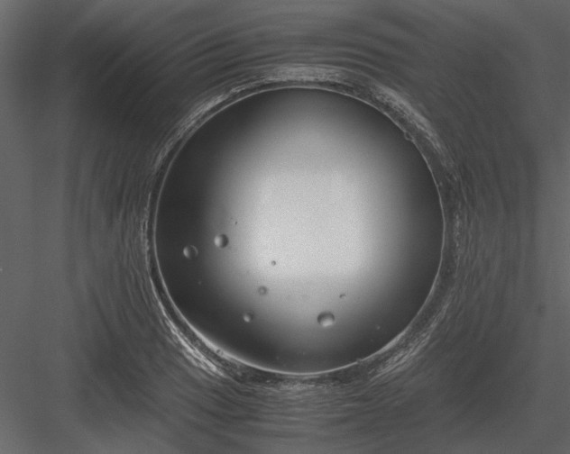 X0000084001033200702232132