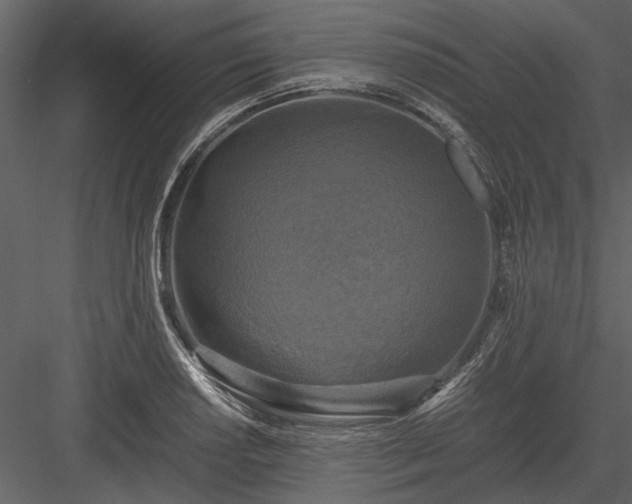 X0000084001034200702232132