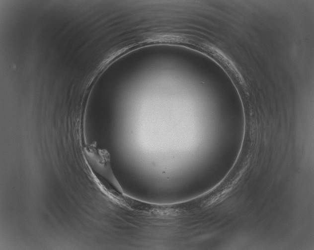X0000084001041200702232132