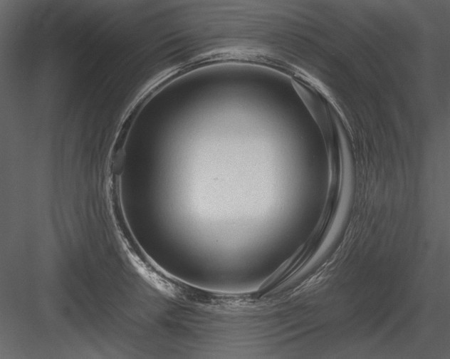 X0000084001042200702232132