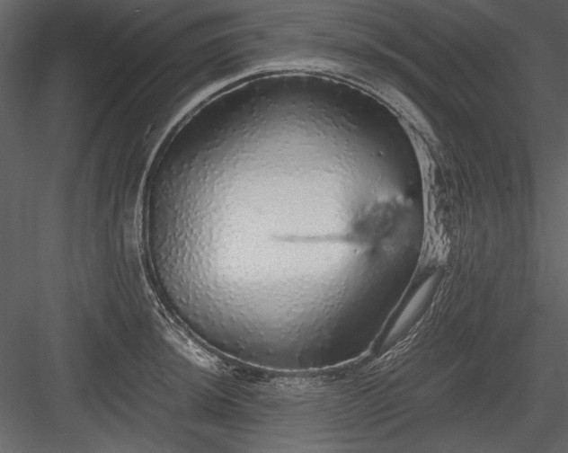 X0000084001044200702232132