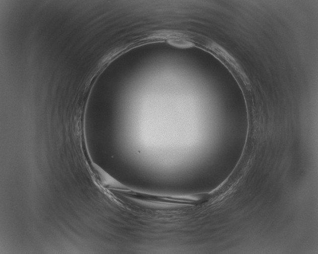 X0000084001049200702232132