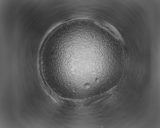 X0000084001051200702232132