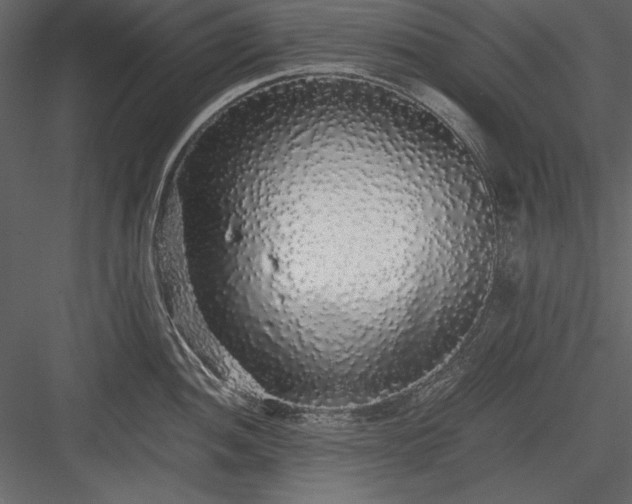 X0000084001052200702232132
